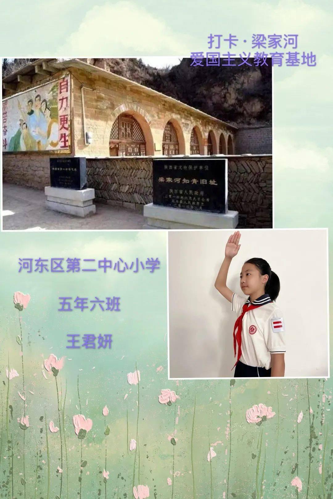 完美的收藏品